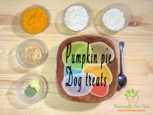 pumpkin pie dog treats